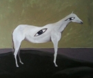 Cavallino guardante, olio su tela, cm 100x100